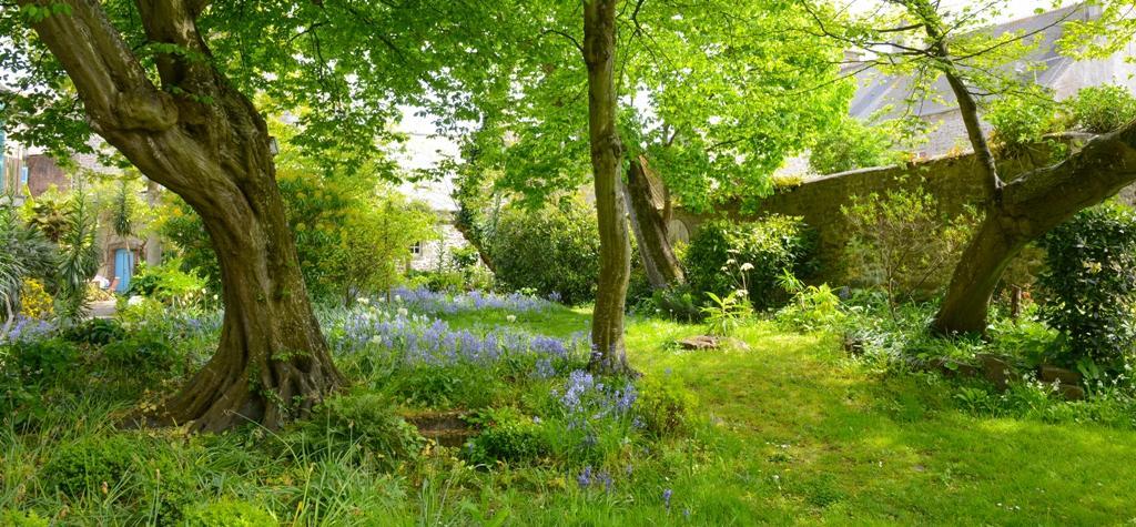 Logis Hotel Les Fuchsias Saint-Vaast-la-Hougue Εξωτερικό φωτογραφία